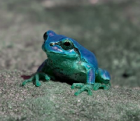 2018.03.11 釣行記3　