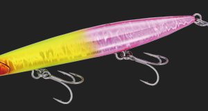 ビーチウォーカー・ウェッジが気になる