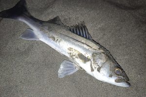 自然相手だから当然だけど条件が全く同じ日って無いよね
