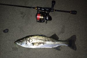 オラ今年の冬が不安になってきたぞ!